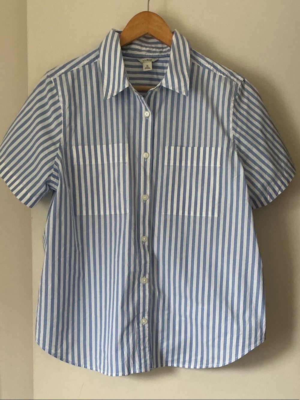 L.L. Bean Light Blue and White Striped Short-Sleeve Button-Down